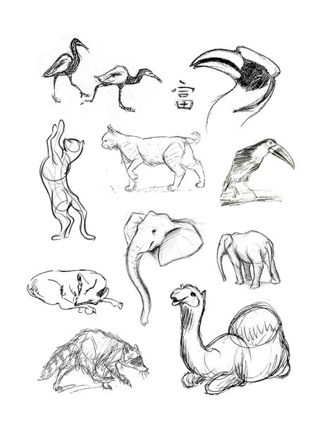 How to Draw & Sketch Animals.